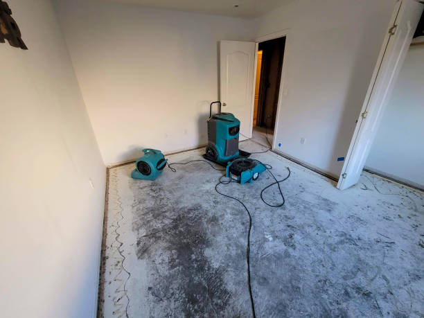 Best Sewage cleanup and water damage restoration  in Langley, SC