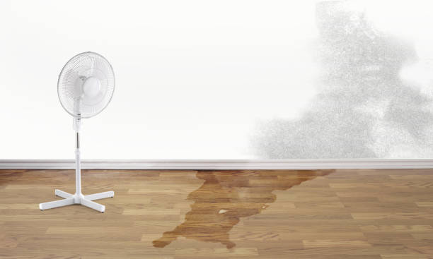 Best Carpet water damage restoration  in Langley, SC