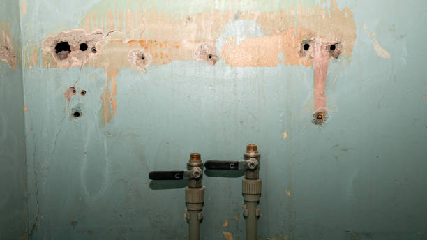 Best Water damage restoration near me  in Langley, SC