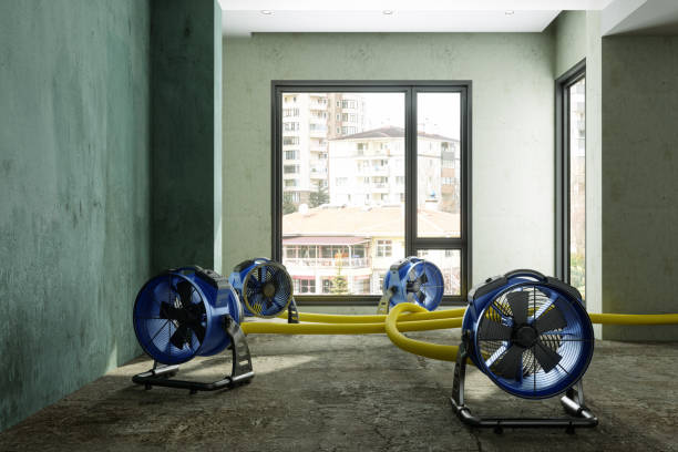 Best Water damage cleanup near me  in Langley, SC